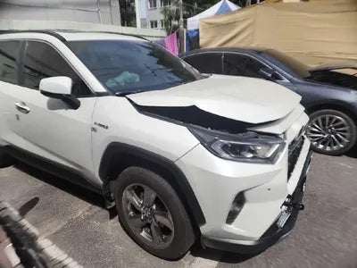 2019 Toyota RAV4 VIN:
