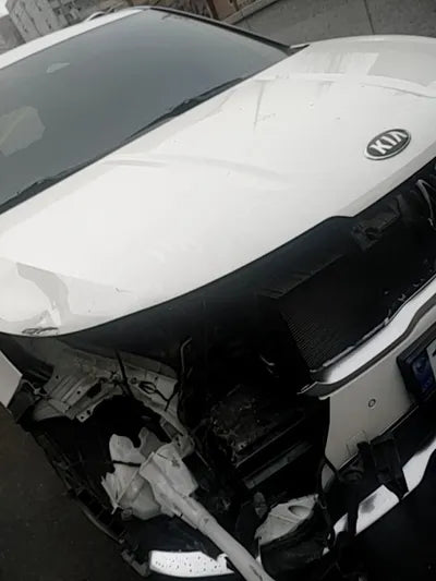 2021 Kia Carnival KNANE81BBMS067503 VIN:KNANE81BBMS067503