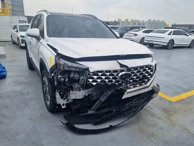 2023 Hyundai Santa FE KMHS381LHPU462244 VIN:KMHS381LHPU462244