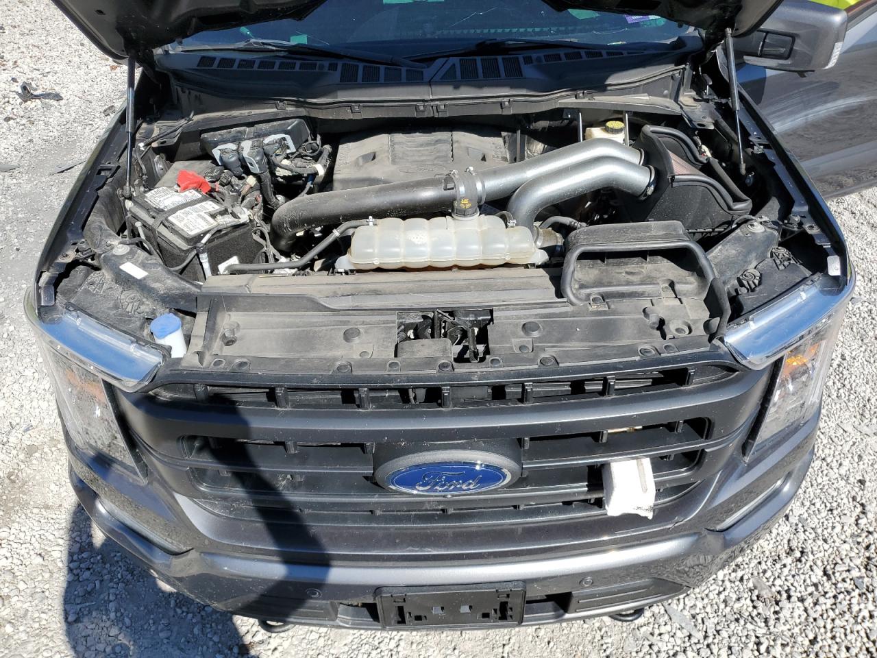 2022 FORD F150 SUPERCREW VIN:1FTFW1E88NFA43101