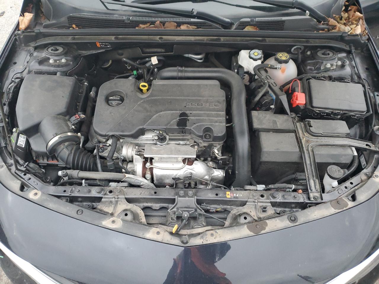 2023 CHEVROLET MALIBU LS VIN:1G1ZC5ST0PF209435