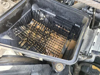 2019 Genesis G70 NONE VIN: