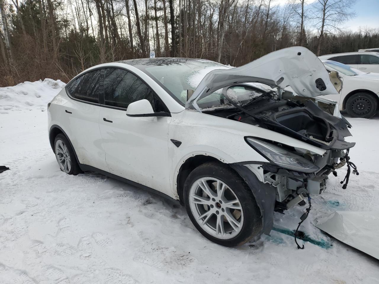 2022 TESLA MODEL Y  VIN:7SAYGDEE9NF447187