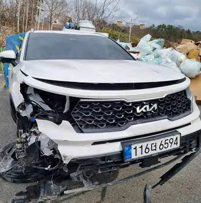 2023 Kia Sorento KNARG81GDPA144060 VIN:KNARG81GDPA144060
