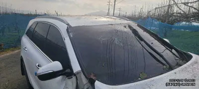 2017 Kia Sorento 339KMKNAPH81ABHA3 VIN:339KMKNAPH81ABHA3