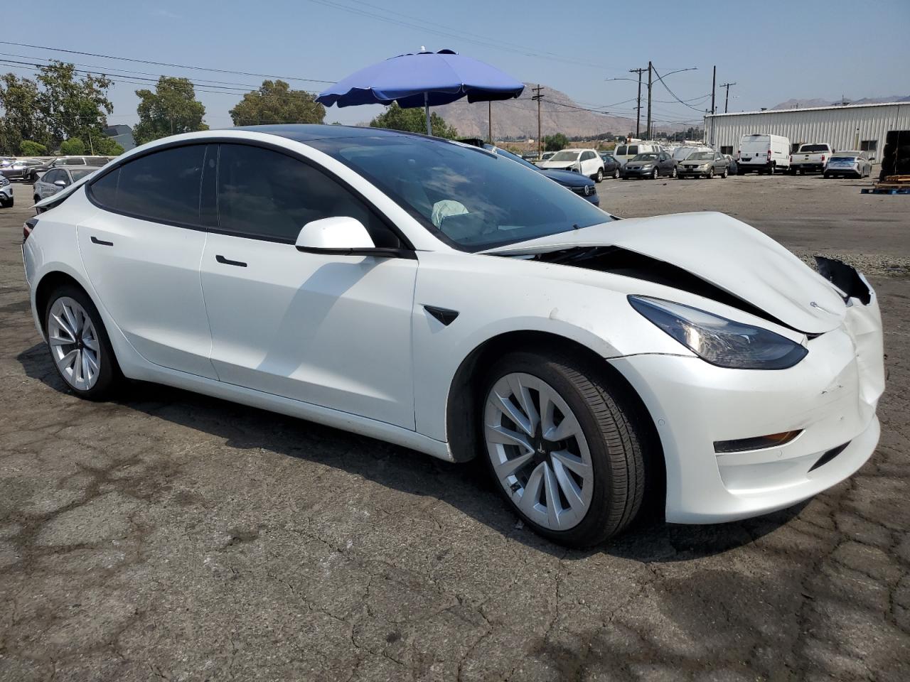 2022 TESLA MODEL 3  VIN:5YJ3E1EBXNF197346