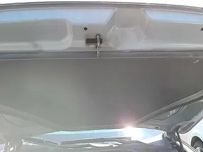 2016 acupuncture nessis 3.3 NONE VIN: