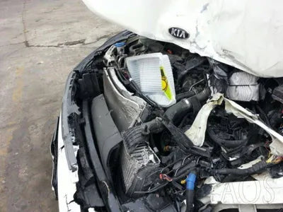 2020 Kia K5 KNAG1412BLA056173 VIN:KNAG1412BLA056173
