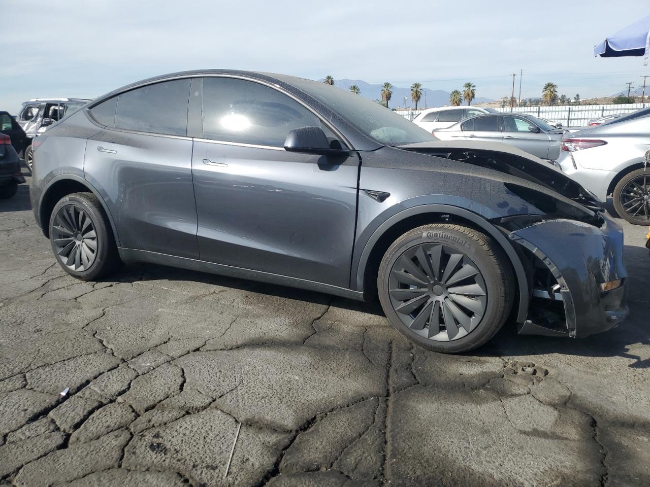 2024 TESLA MODEL Y  VIN:7SAYGDED2RF056105