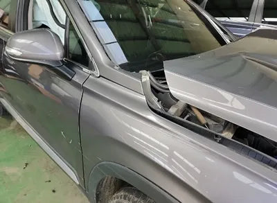 2020 Hyundai Santa FE KMHS281BBLU285246 VIN:KMHS281BBLU285246