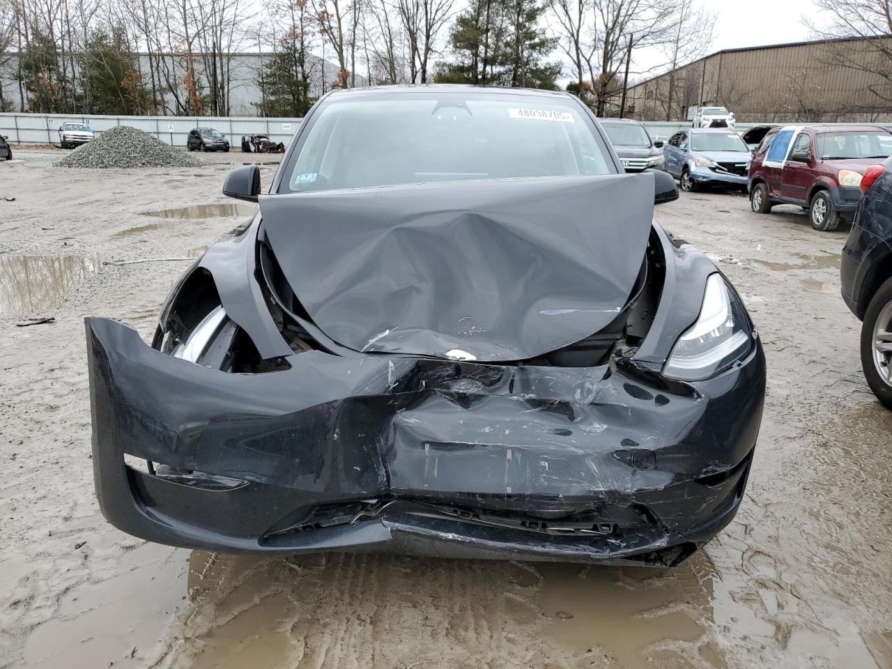 2023 TESLA MODEL Y  VIN:7SAYGDEE7PA030344