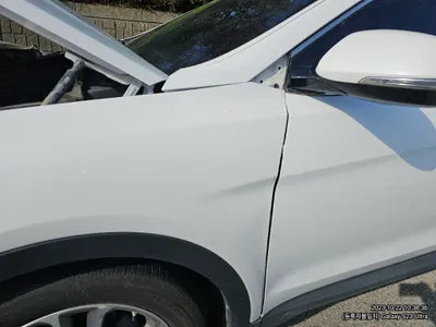 2016 Hyundai Santa FE KMHSW81UBGU600174 VIN:KMHSW81UBGU600174
