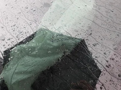 2017 Mercedes-Benz E 220 WDDZF0EB3HA137400 VIN:WDDZF0EB3HA137400