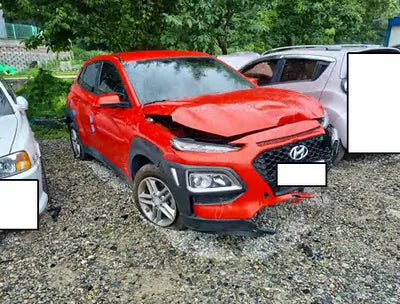 2018 Hyundai Kona KMHK3816GJU102106 VIN:KMHK3816GJU102106