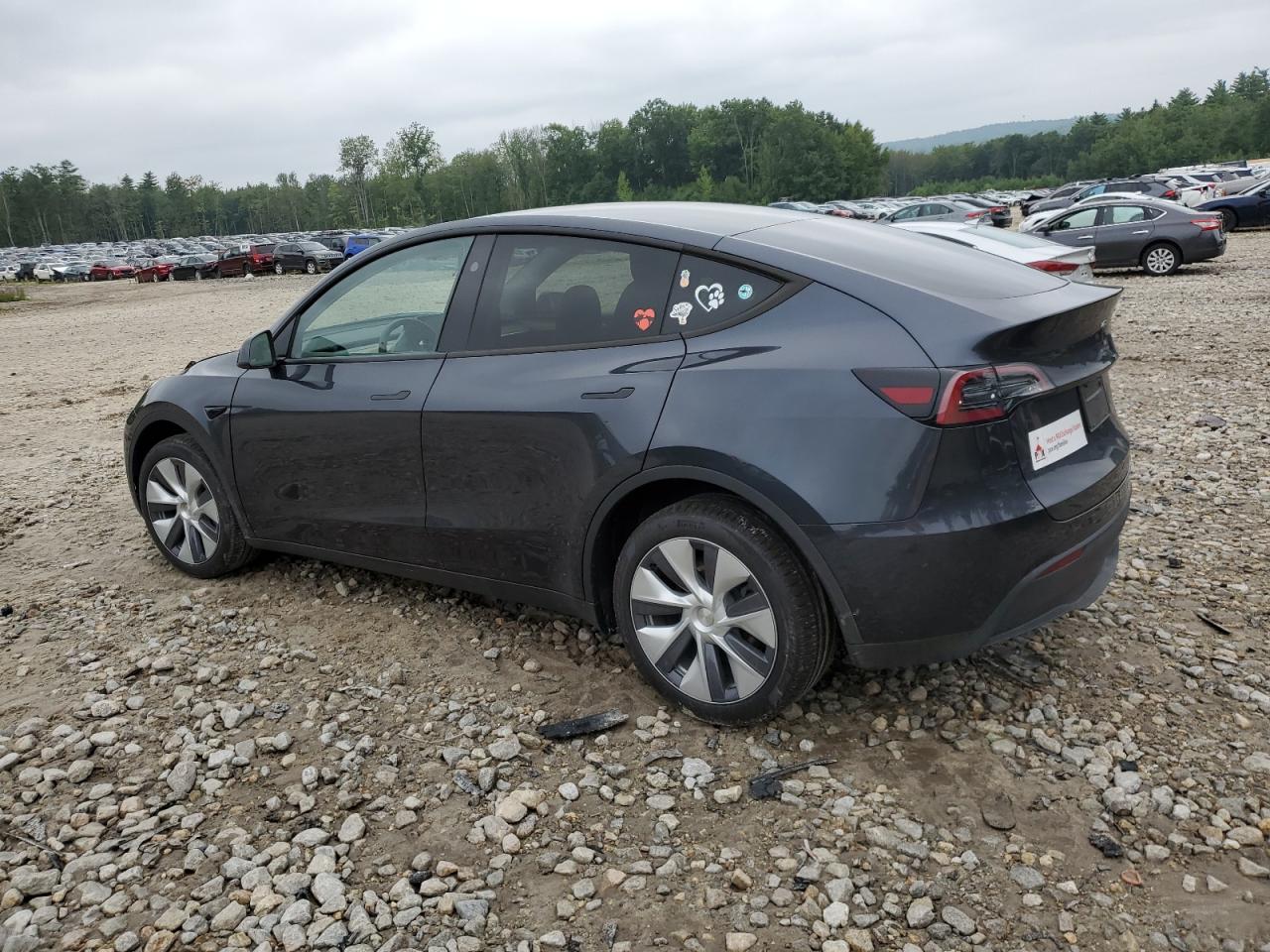 2024 TESLA MODEL Y  VIN:7SAYGDEE7RA241272