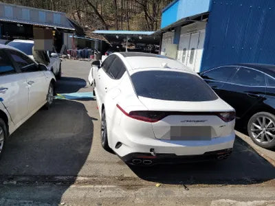 2020 Kia Stinger KNAE751CBLS082686 VIN:KNAE751CBLS082686