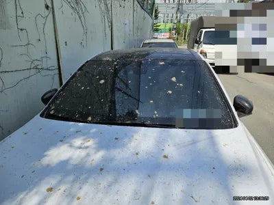 2018 Genesis G70 VIN: