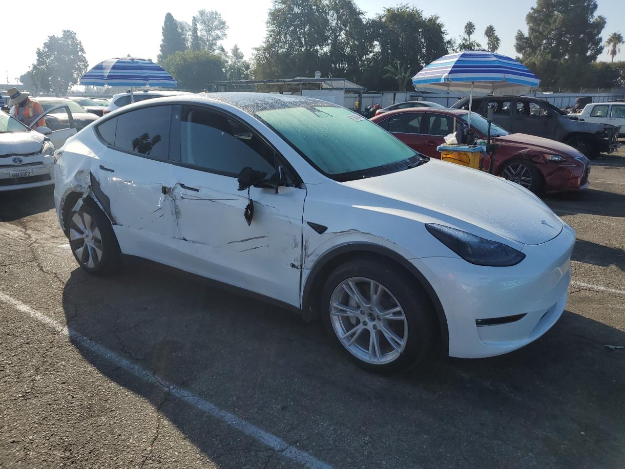 2023 TESLA MODEL Y  VIN:7SAYGDEE7PF765439