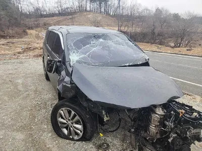 2017 Kia Carnival VIN: