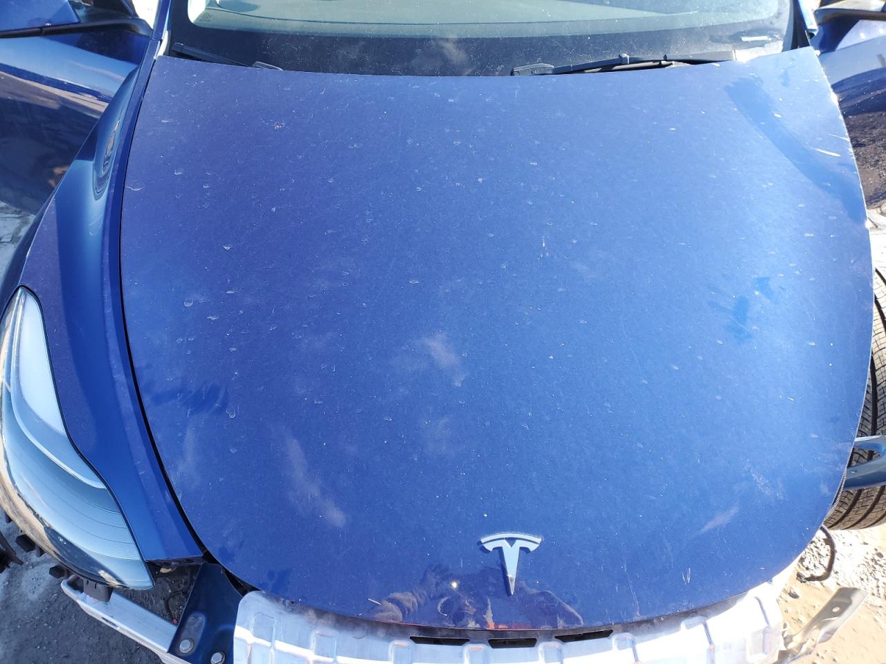 2024 TESLA MODEL Y  VIN:7SAYGDEE5RA274867