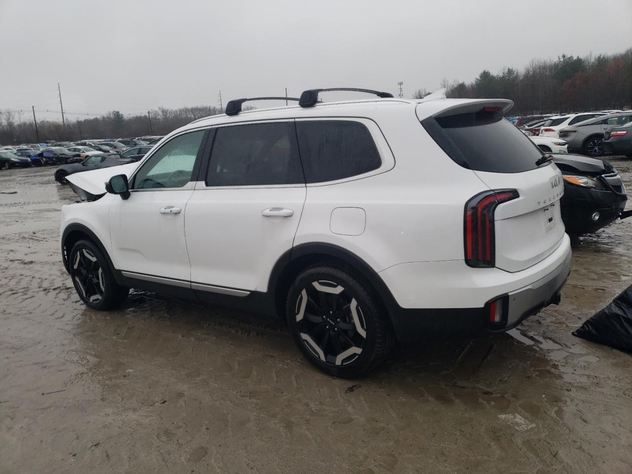 2024 KIA TELLURIDE EX VIN:5XYP34GCXRG487275