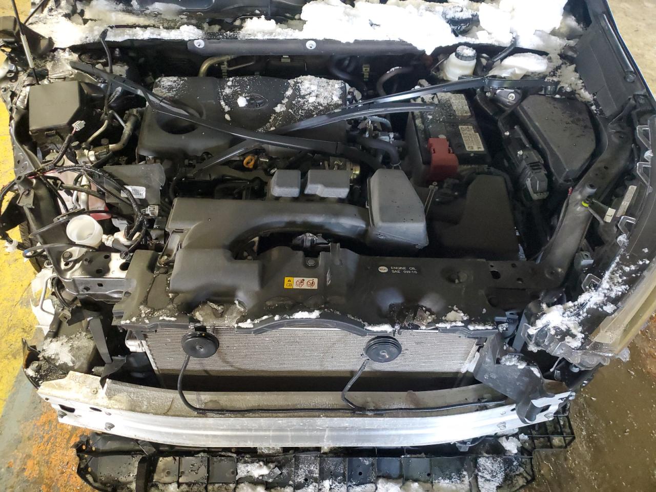 2023 TOYOTA RAV4 XLE VIN:2T3P1RFV1PC369556