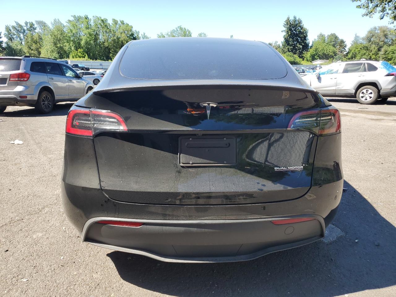 2024 TESLA MODEL Y  VIN:7SAYGDEF1RF061684