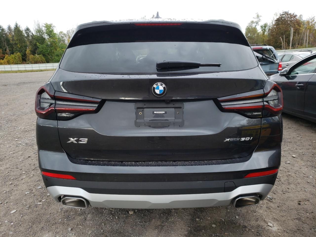 2023 BMW X3 XDRIVE30I VIN:5UX53DP01P9S84267