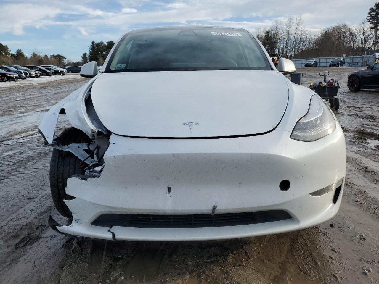 2023 TESLA MODEL Y  VIN:7SAYGDEE0PA116790