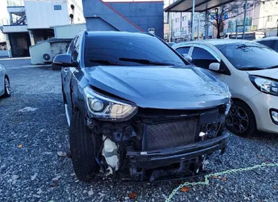 2017 Hyundai Santa FE KMHSW81UBHU720862 VIN:KMHSW81UBHU720862