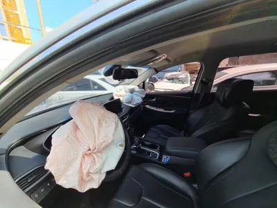 2019 Hyundai Santa FE KMHS381BBKU156411 VIN:KMHS381BBKU156411