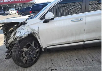 2021 Hyundai Santa FE KMHS381HGMU310393 VIN:KMHS381HGMU310393