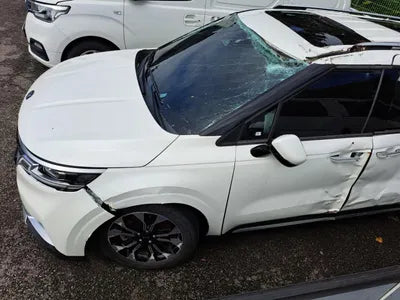 2020 Kia Carnival KNANE81BBMS010172 VIN:KNANE81BBMS010172