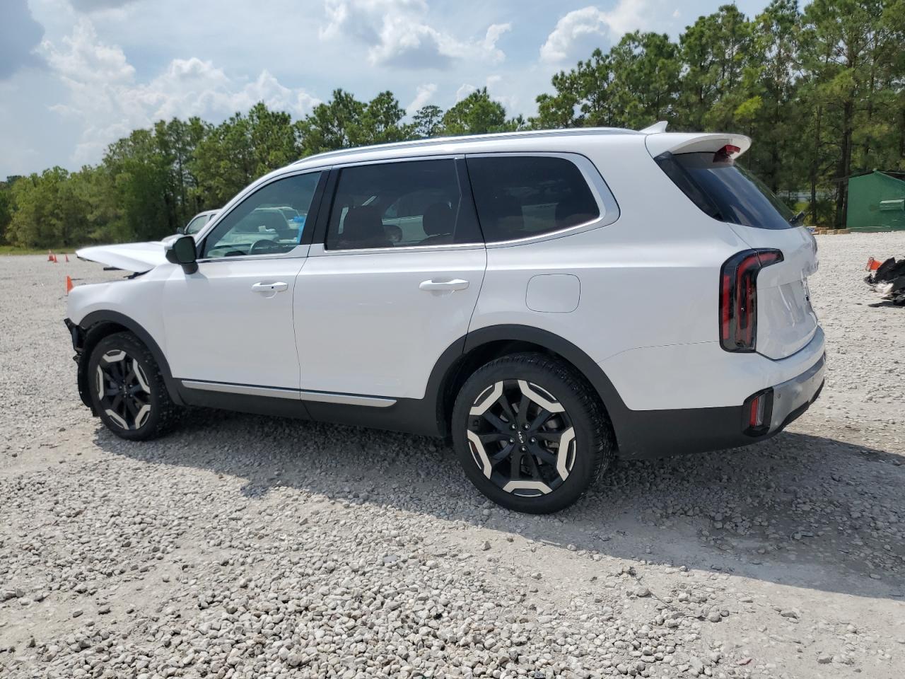 2024 KIA TELLURIDE EX VIN:5XYP34GC4RG416699