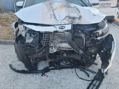 2020 Kia Carnival KNAMC81ABLS668842 VIN:KNAMC81ABLS668842