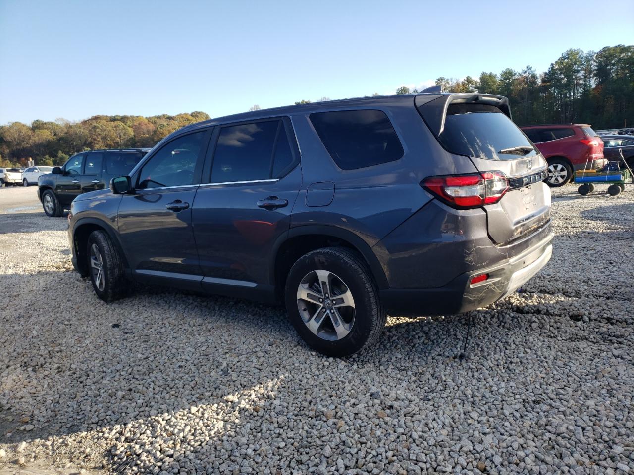 2023 HONDA PILOT EXL VIN:5FNYG2H51PB007495