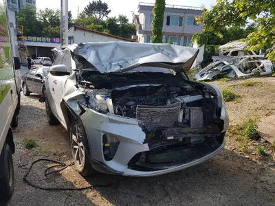 2019 Kia Sorento KNAPG81BDLA597519 VIN:KNAPG81BDLA597519