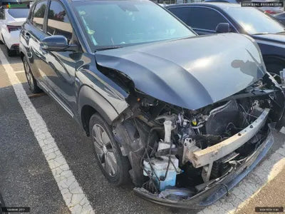 2018 Hyundai Kona KMHK381GFKU007673 VIN:KMHK381GFKU007673