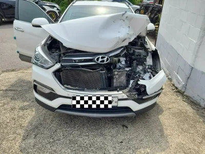 2018 Hyundai Santa FE KMHSW81UBJU862455 VIN:KMHSW81UBJU862455