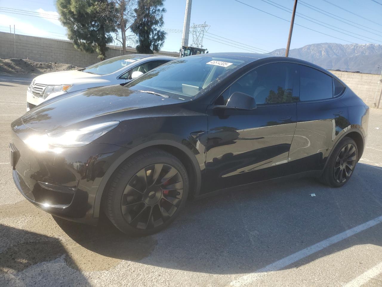 2023 TESLA MODEL Y  VIN:7SAYGDEE4PA025344