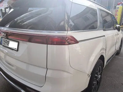 2020 Kia Carnival KNANC81BBMS015175 VIN:KNANC81BBMS015175