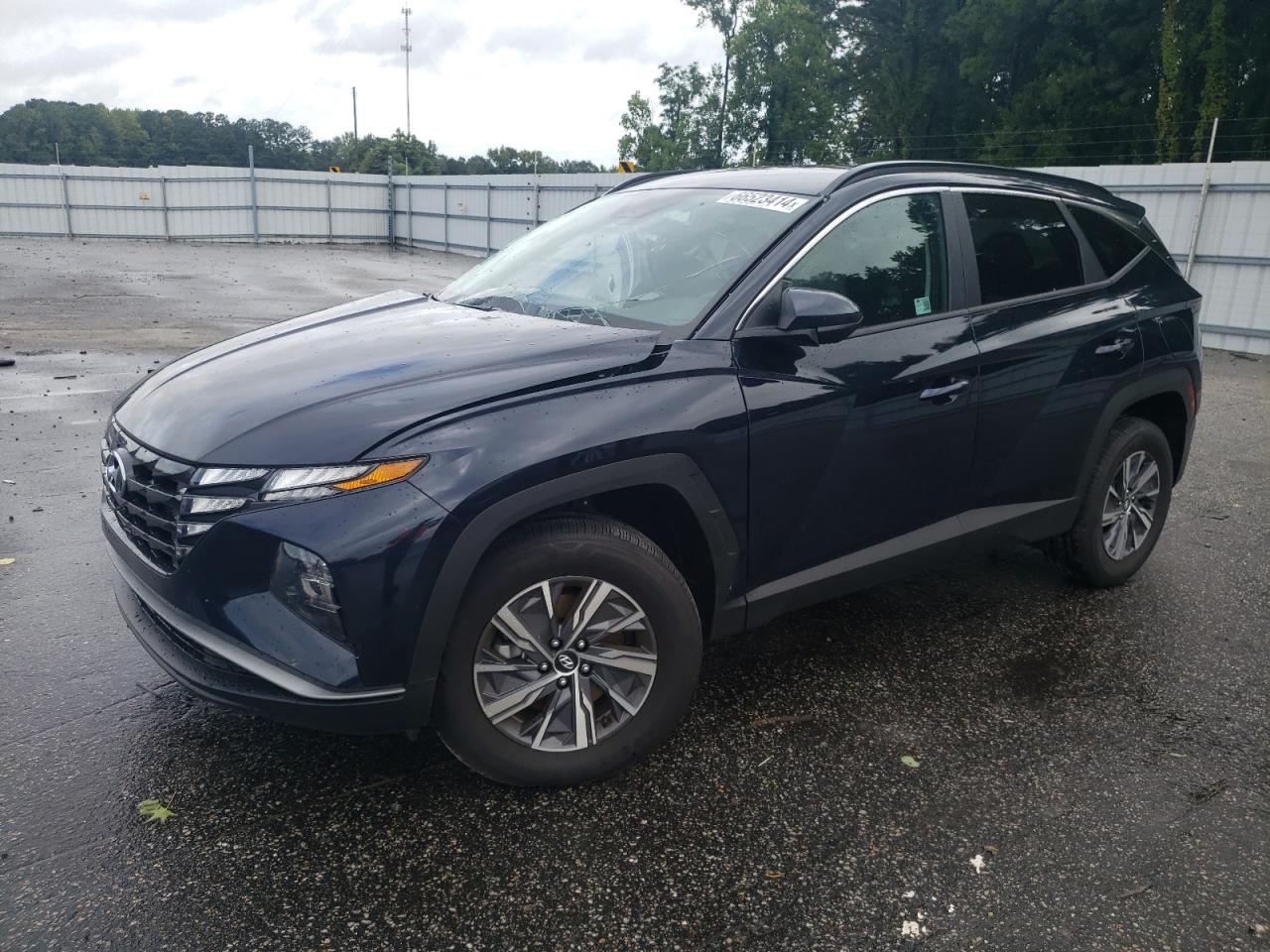 2024 HYUNDAI TUCSON BLUE VIN:KM8JBCD16RU196448