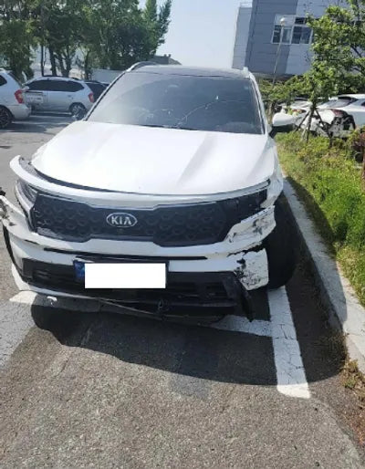 2021 Kia Sorento KNARL81BGMA026537 VIN:KNARL81BGMA026537