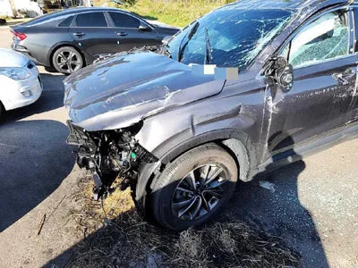 2019 Hyundai Santa FE KMHS281BBKU157211 VIN:KMHS281BBKU157211