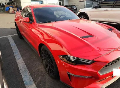 2019 Ford Mustang 1FA6P8TH1K5165654 VIN:1FA6P8TH1K5165654