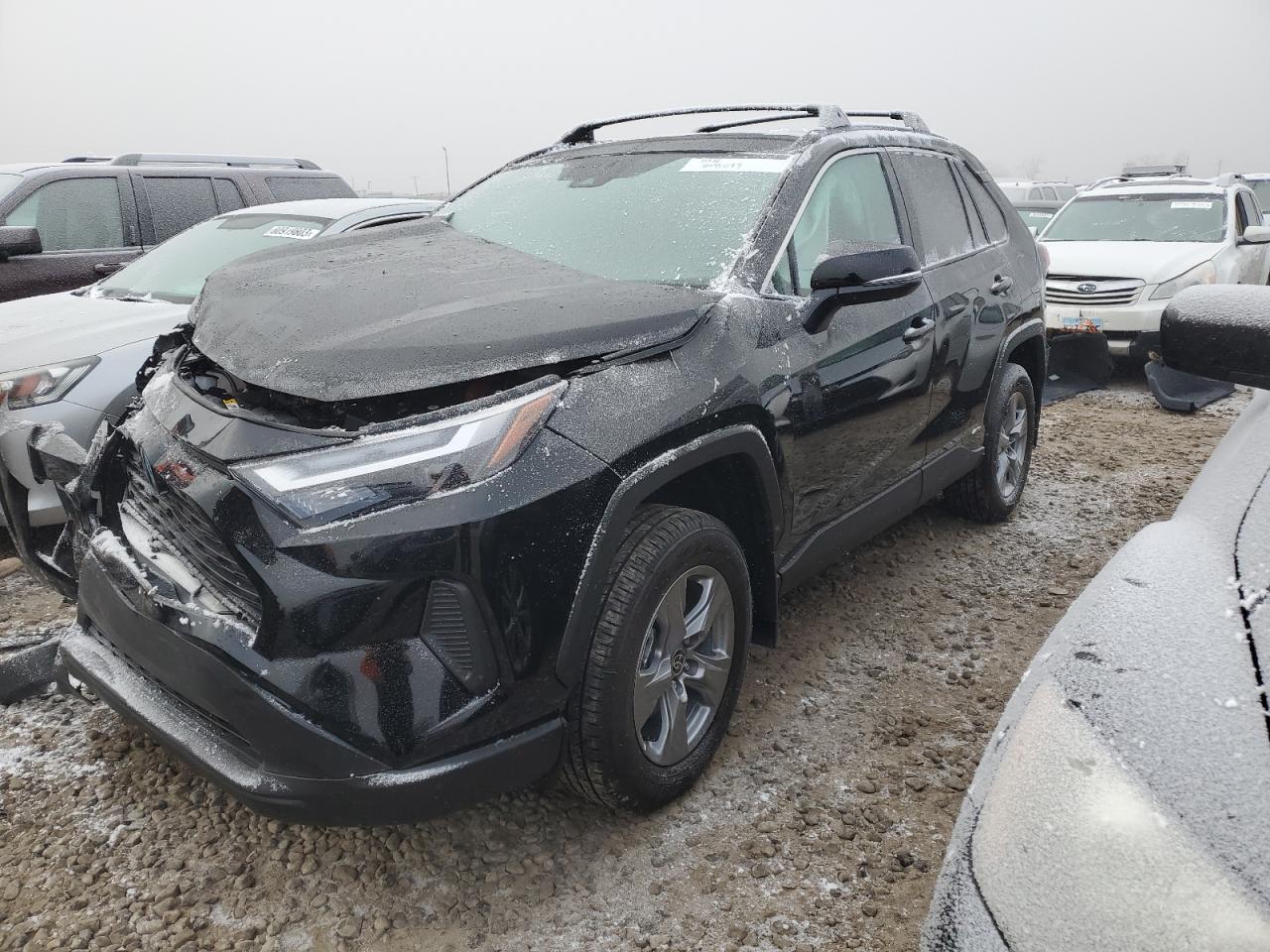 2024 TOYOTA RAV4 XLE VIN:4T3RWRFV0RU111931