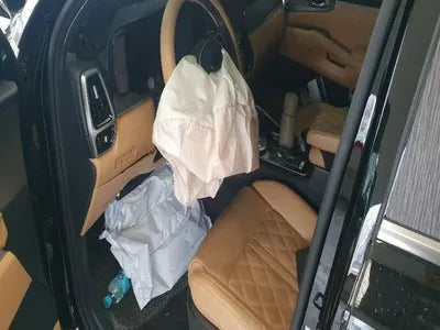 2021 Kia Sorento KNARH81GBMA026218 VIN:KNARH81GBMA026218
