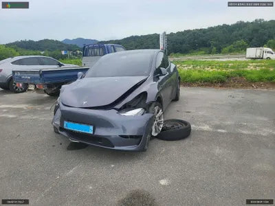 2021 Tesla Model Y 5YJYGDEE1MF171499 VIN:5YJYGDEE1MF171499