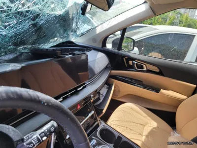 2020 Kia Carnival KNANC81BBMS039848 VIN:KNANC81BBMS039848