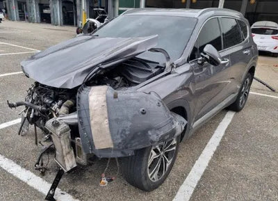 2019 Hyundai Santa FE KMHS381BBKU066114 VIN:KMHS381BBKU066114